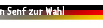Mein Senf zur Wahl