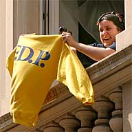 World Cup final celebration:  German supporter waving T-shirt of the German Liberal Party