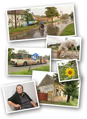 Mramorak 2005