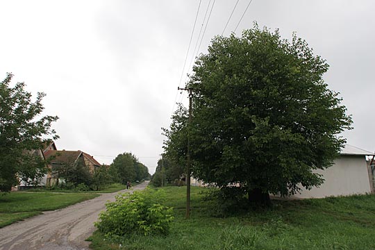 Zum Vergr&ouml;&szlig;ern klicken!