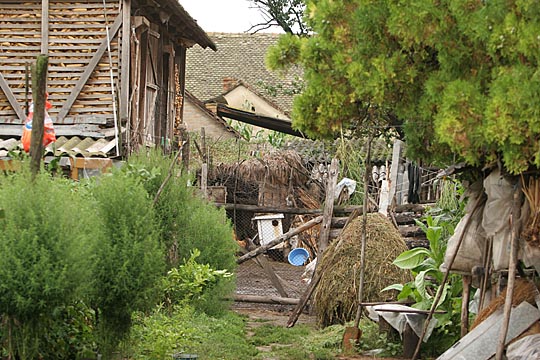 Zum Vergr&ouml;&szlig;ern klicken!