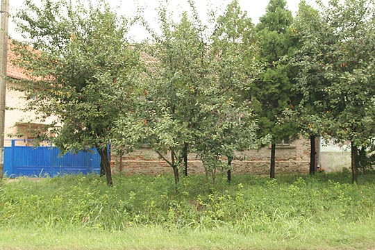 Zum Vergr&ouml;&szlig;ern klicken!