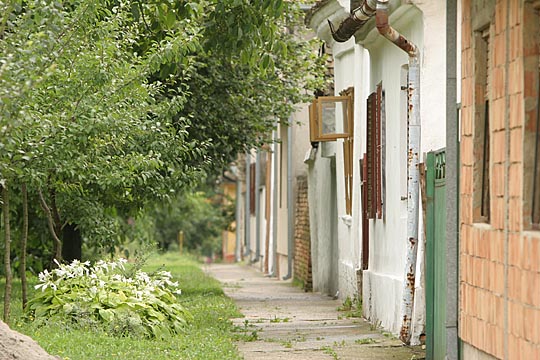 Zum Vergr&ouml;&szlig;ern klicken!