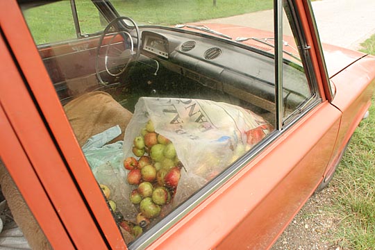 Zum Vergr&ouml;&szlig;ern klicken!