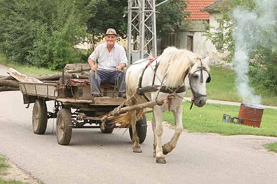 Zum Vergr&ouml;&szlig;ern klicken!