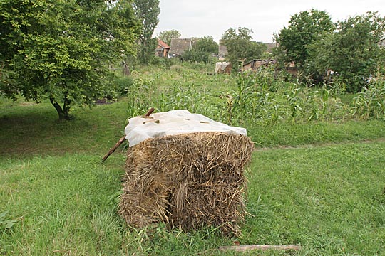 Zum Vergr&ouml;&szlig;ern klicken!