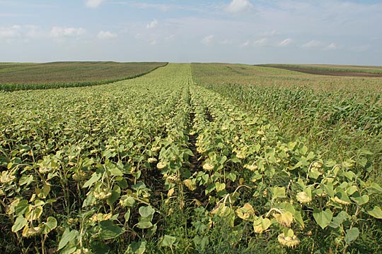 Zum Vergr&ouml;&szlig;ern klicken!