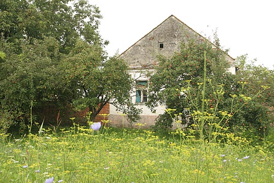 Zum Vergr&ouml;&szlig;ern klicken!