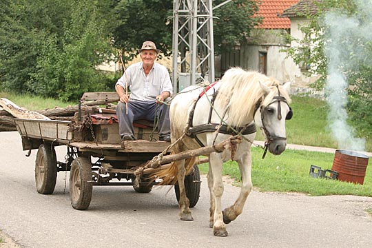 Zum Vergr&ouml;&szlig;ern klicken!